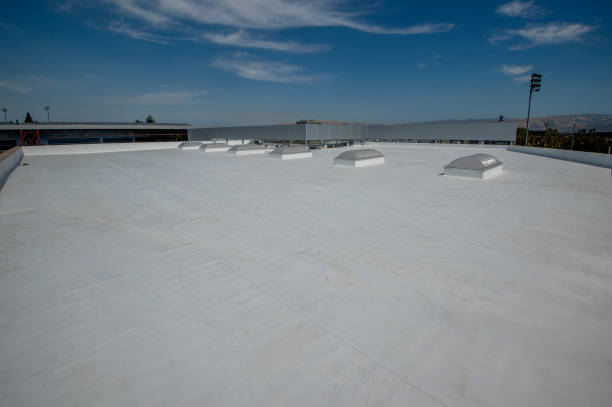 Best Skylight Installation and Repair  in Eaton, IN